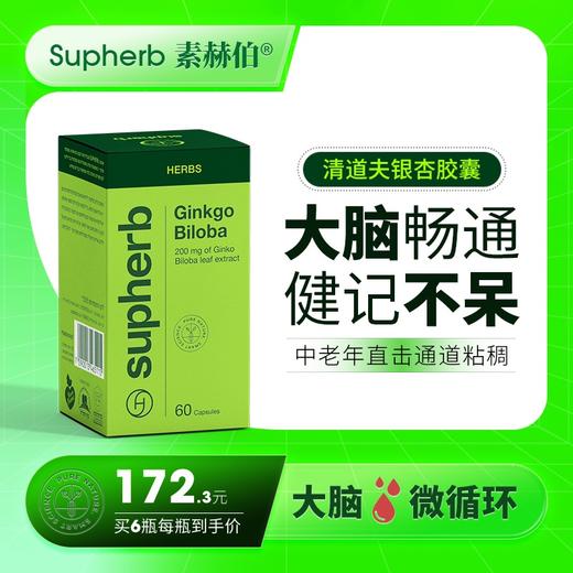 银杏叶提取物精华胶囊中老年人大脑循环畅通增强补脑记忆力保健品 商品图0