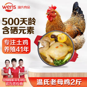温氏供港富硒老母鸡2斤 富硒农家散养老母鸡土鸡冷冻 散养500天 鸡汤