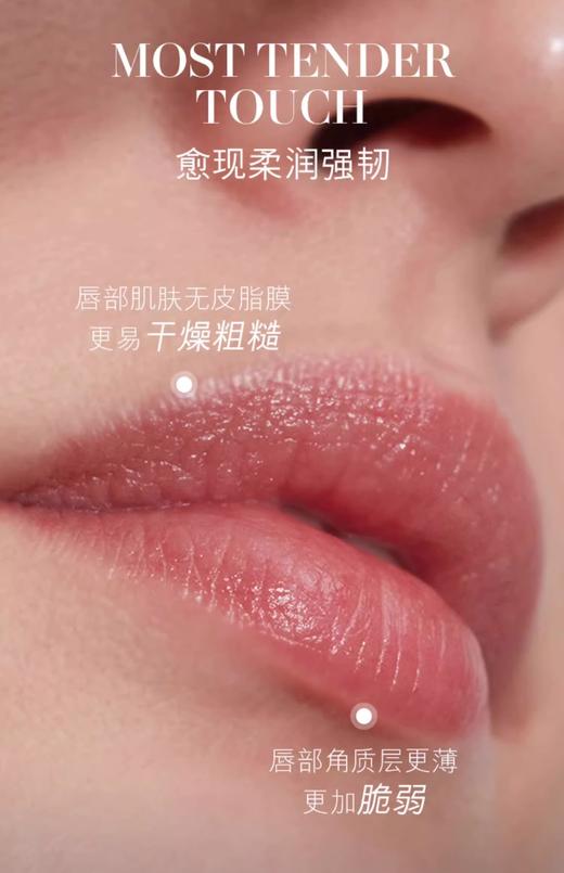 【航免仓】LAMER海蓝之谜修护唇膜9g 商品图5