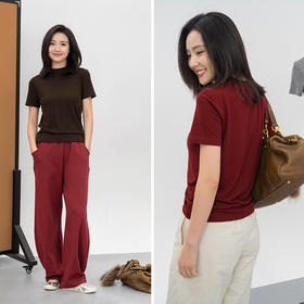 【天丝+超细美利奴羊毛】半高领气质羊毛软糯T 针织短袖 遮肉显瘦