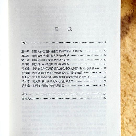 齐努阿·阿契贝 非洲小民族作家的解域实践 非洲文学研究 商品图6