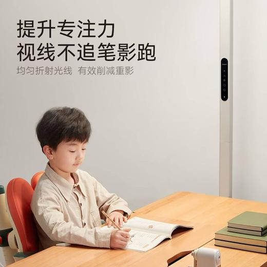 【护童】B座8F 护童大路灯 商品图2