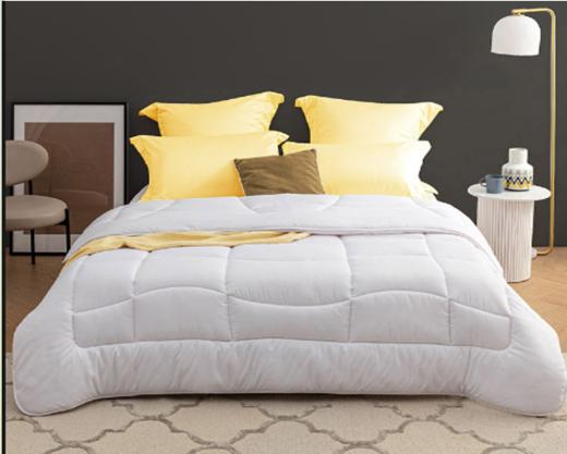 罗莱暖姜黑科技抗菌发热冬被（白色）200*230cm磨毛面料 商品图0