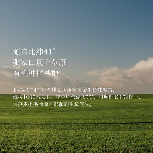 Soileta有机燕麦片450g 全粒燕麦无添加早餐即食冲饮 商品图2