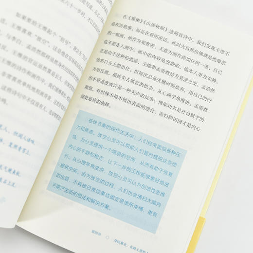 总有诗人解我忧 唐诗心理商谈室 中国古诗词不内耗心理学书籍反内耗心理学焦虑心理学人性心理学唐诗宋词 商品图1