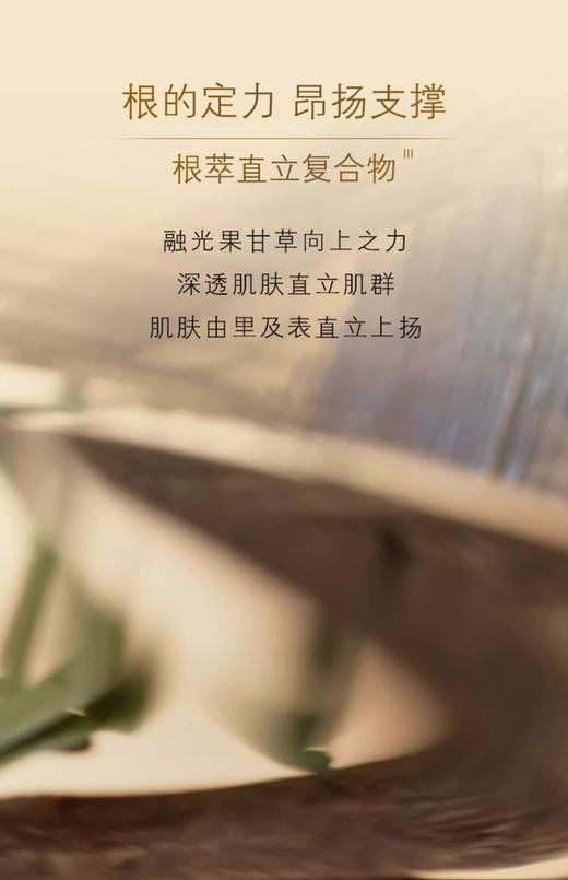 【航免仓】CPB肌肤之钥紧致保湿4D精华新款40ml 商品图7