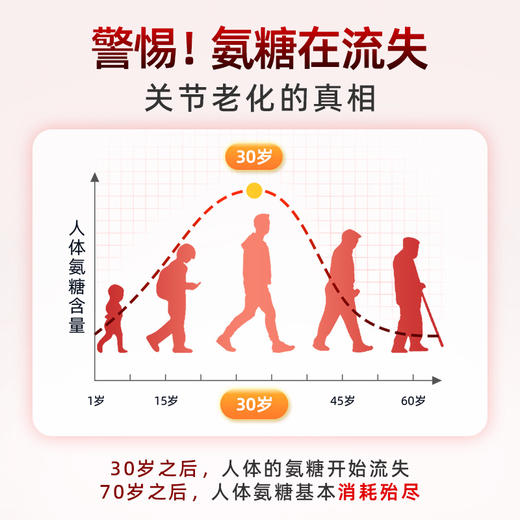 Folona氨糖软骨素补软骨护关节补钙补骨密度原装进口旗舰店正品 商品图2
