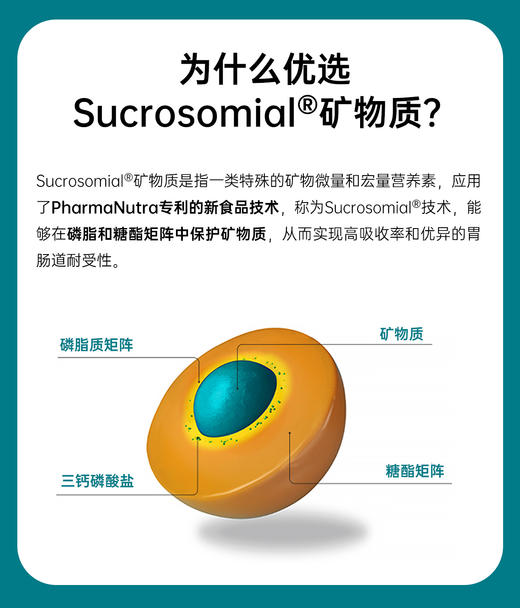 米娅-ApportAL成人复合维生素矿物质营养补充剂女士维b族辅酶Q10 商品图1