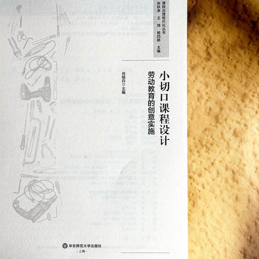小切口课程设计 劳动教育的创意实施 中小学案例 商品图5