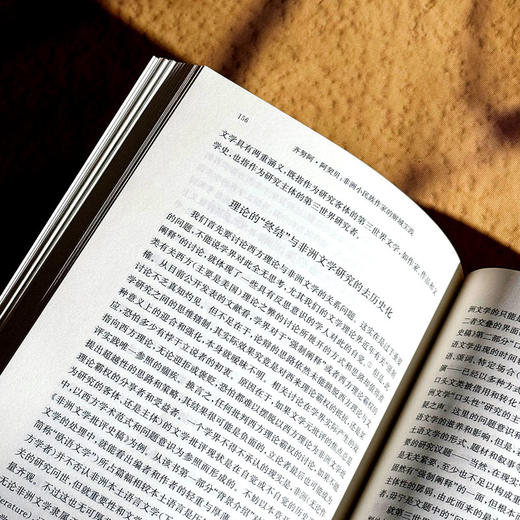 齐努阿·阿契贝 非洲小民族作家的解域实践 非洲文学研究 商品图11