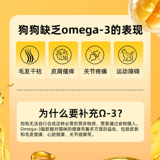 冒险与它 全价主食犬狗饭100g 狗用鲜肉湿粮包 主食包批发 整箱100袋 商品图3
