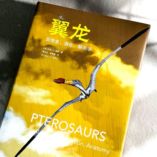 翼龙 自然史 演化 解剖学 史前生命丛书 科普读物 200幅精美插图 商品图3