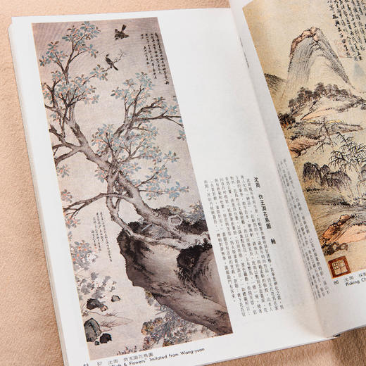 【绝版好书】《吴门画派》1999年台湾艺术图书公司出版 商品图14