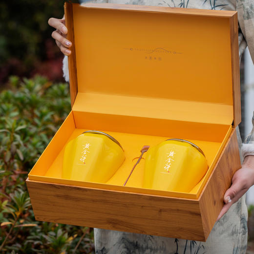 景致【滴塑面黄金芽.2瓷】50元1套.整箱 10 套 商品图1