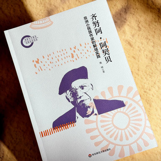 齐努阿·阿契贝 非洲小民族作家的解域实践 非洲文学研究 商品图3