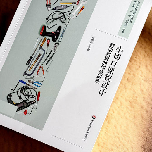 小切口课程设计 劳动教育的创意实施 中小学案例 商品图4