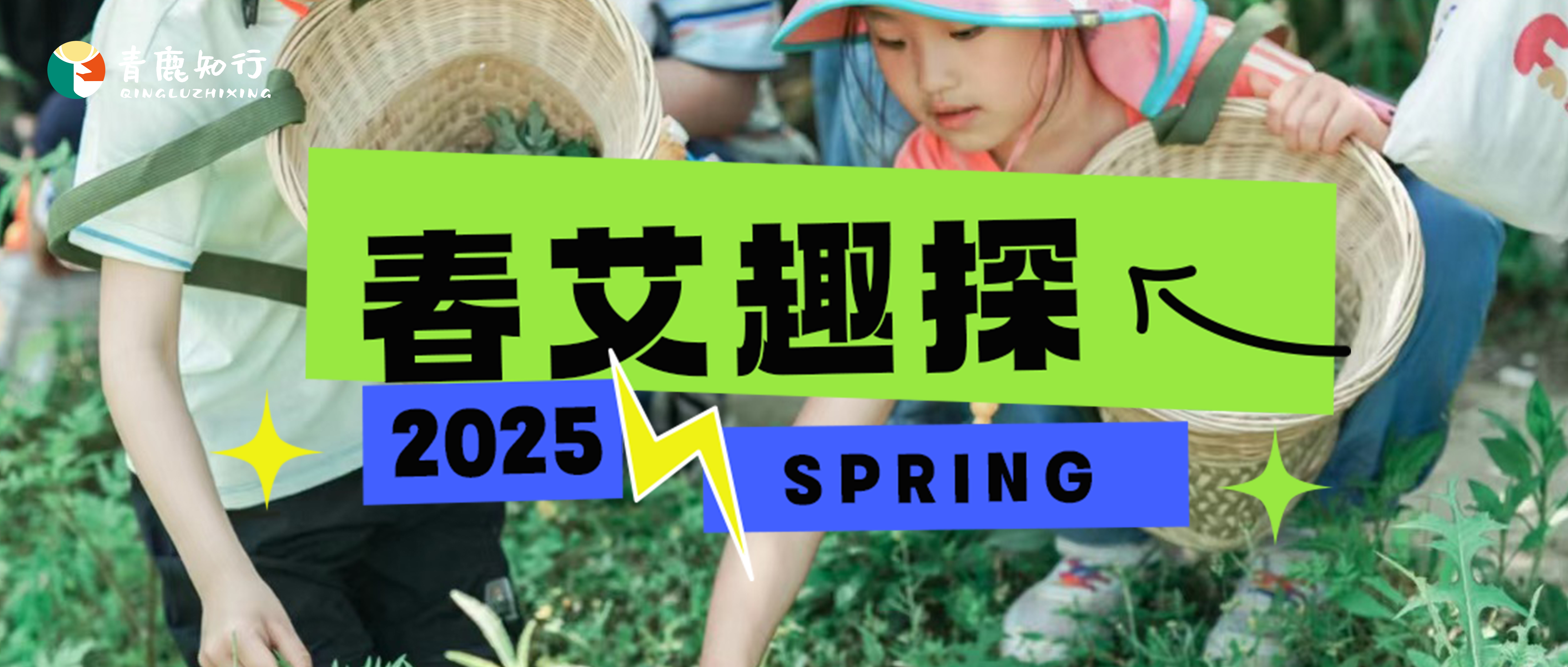1日独立|春艾趣探：采摘，真假艾草王，古法染色，艾团制作......一起走进中国人的“艾”文化！