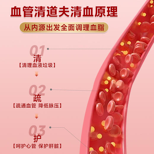 胞倍力中老年人疏通心脑血管清理清道夫非纳豆提取物水蛭素保健品 商品图2