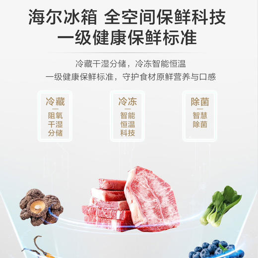 海尔（Haier）冰箱BCD-413WGHFD1BSJU1 商品图2