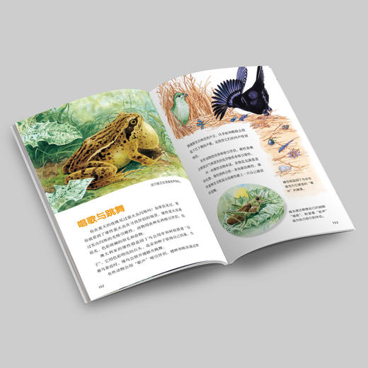 《HOW&WHY美国经典少儿百科知识全书》（全10册） 商品图14