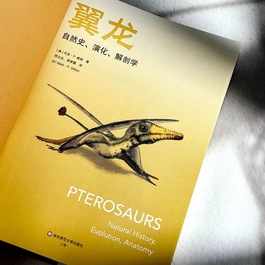 翼龙 自然史 演化 解剖学 史前生命丛书 科普读物 200幅精美插图 商品图5