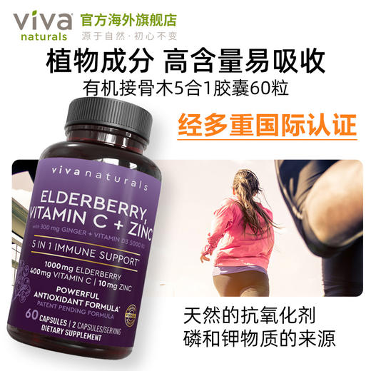 25.7月 viva美国进口黑接骨木补VC维生素d锌姜5合1营养维生素60粒 商品图1