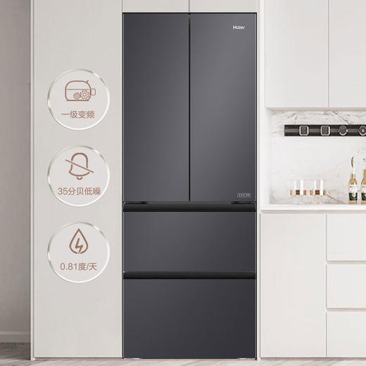 海尔（Haier）冰箱BCD-413WGHFD1BSJU1 商品图11