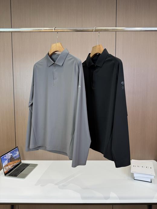 点此购买 迪桑特DUALIS都市通勤春秋季简约轻薄男款长袖POLO衫 ly 308502 商品图8