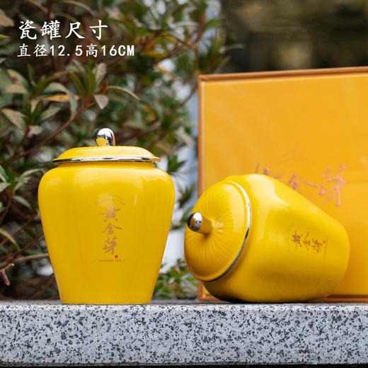 景致【滴塑面黄金芽.2瓷】50元1套.整箱 10 套 商品图3