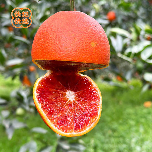 3月27日12点截单【宜宾血橙】伙记优选四川新鲜橙子 8斤家庭装  精品大果红橙子 富含丰富的花青素 当季新鲜水果 现摘现发 自然树上熟 不打药 商品图7