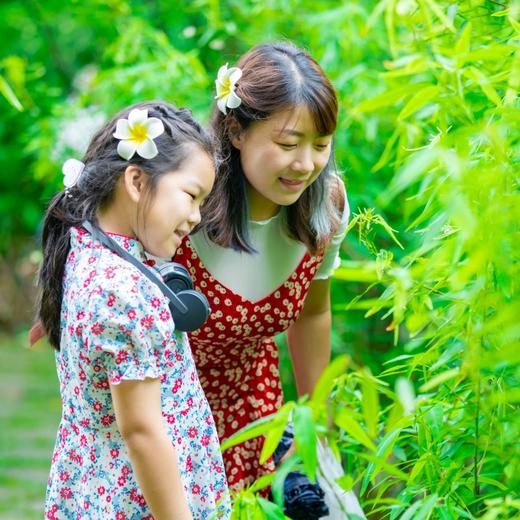 【西双版纳 | 专属大象VIP研学】，中科院专家，沉浸雨林探秘+傣寨生活体验，5钻套房酒店4晚连住 商品图4