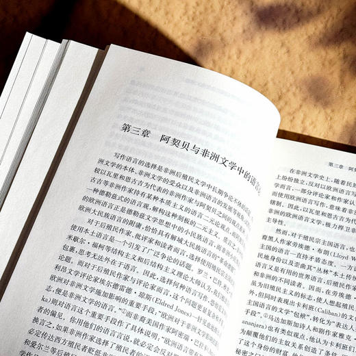 齐努阿·阿契贝 非洲小民族作家的解域实践 非洲文学研究 商品图7