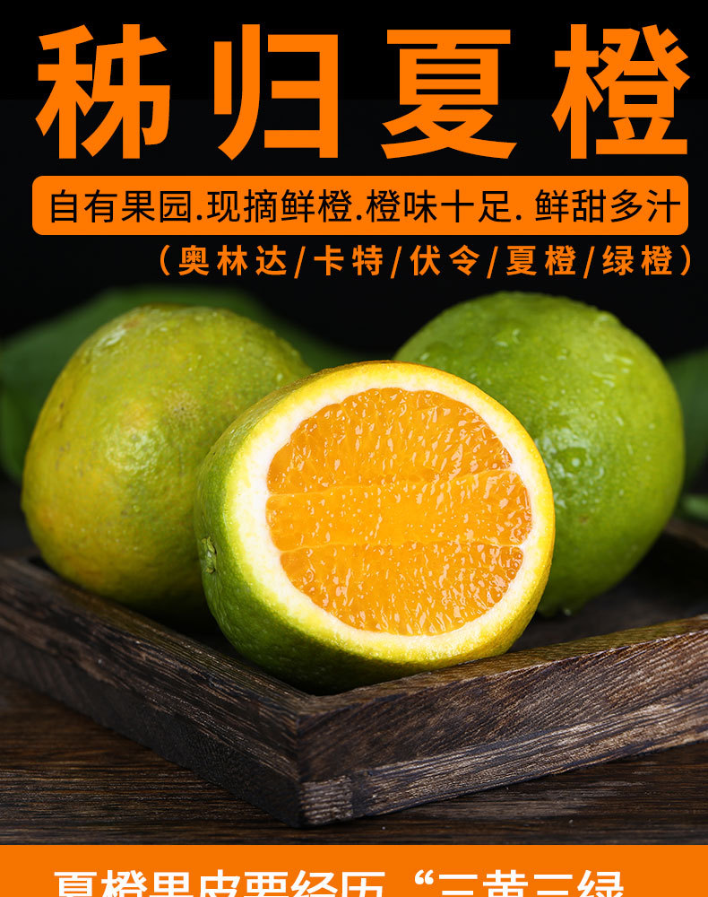 宜橙秭归夏橙绿皮新_01.jpg