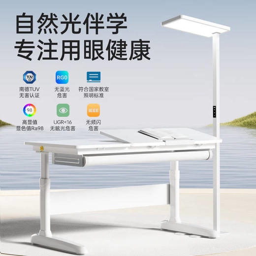 【护童】B座8F 护童大路灯 商品图0