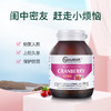 澳洲Youthit优思益蓝莓叶黄素护眼丸+高浓度蔓越莓胶囊组合套装 商品缩略图3