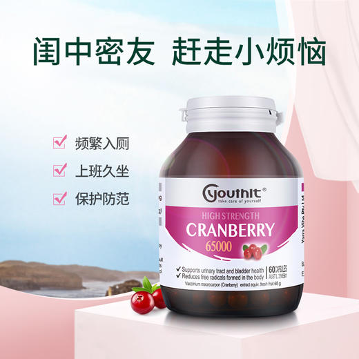 澳洲Youthit优思益蓝莓叶黄素护眼丸+高浓度蔓越莓胶囊组合套装 商品图3