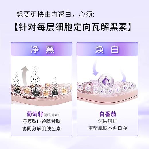 Losoki美白丸葡萄籽片全身白去黄分解黑色素淡斑提亮抗氧内服正品 商品图2
