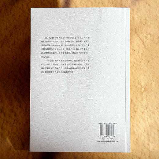 齐努阿·阿契贝 非洲小民族作家的解域实践 非洲文学研究 商品图2