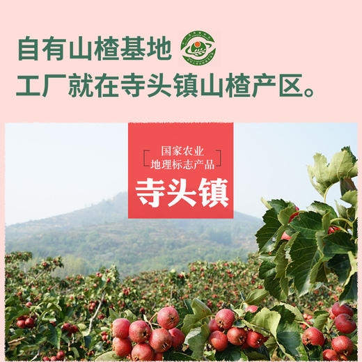 【物本源山楂糕 】无添加即食营养健康解馋零食袋装独立包装 商品图3