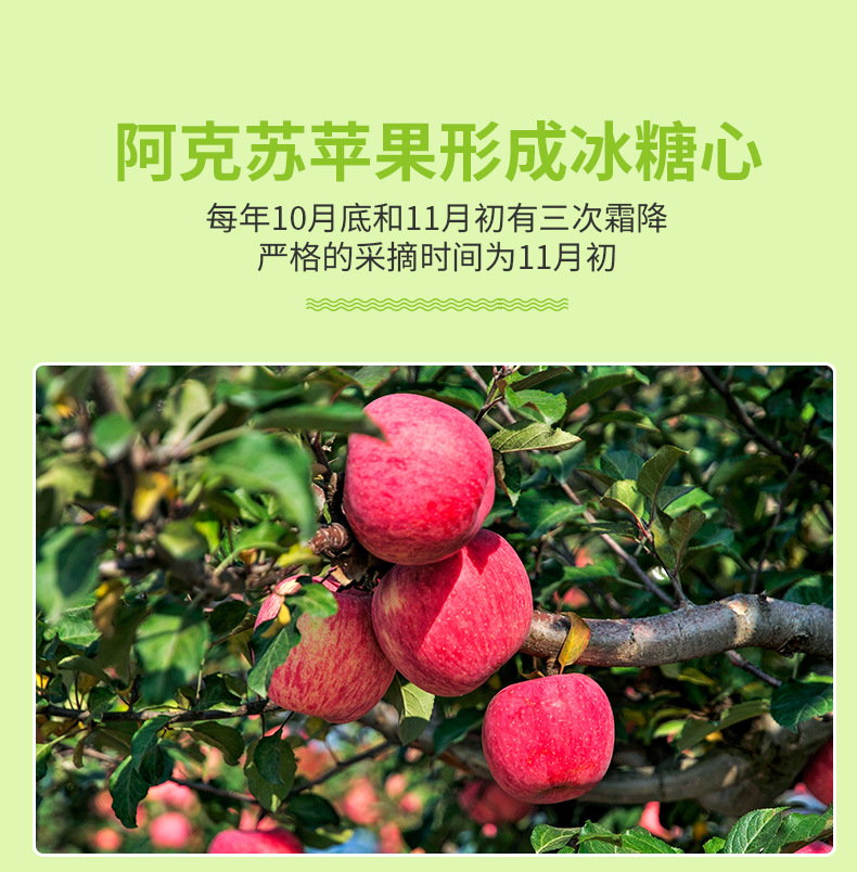 阿克苏苹果_09.jpg