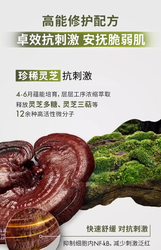 【航免仓】ORIGINS悦木之源菌菇水200ml 商品图5