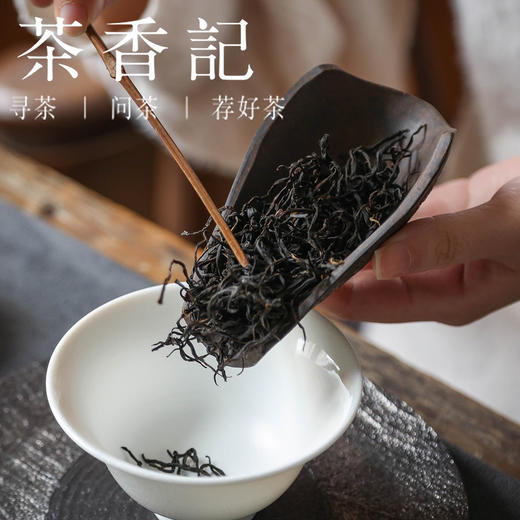 茶香记 青灰段龟甲茶则紫砂泥料茶道配件古朴清雅生动有趣 商品图4