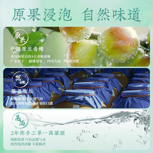 江小白梅见12度青柑梅酒330ml*6 商品图4