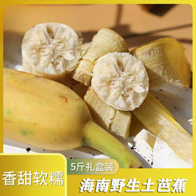 【分仓直发包邮】海南三亚野生土芭蕉5斤礼盒装