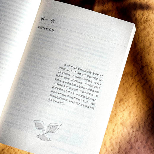 小切口课程设计 劳动教育的创意实施 中小学案例 商品图7