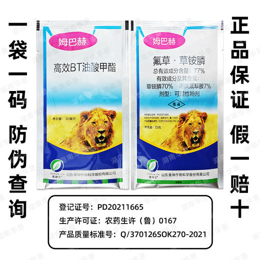 77%姆巴赫升级版氟草草铵膦恶行杂草小风蓬马唐专用除草剂正品 商品图4