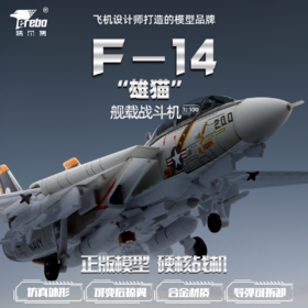 【特尔博-长春航展、九三阅兵纪念品】 1:100F14F15雄猫战斗机飞机模型丨合金仿真模型丨收藏精品丨送礼佳品丨家居摆件