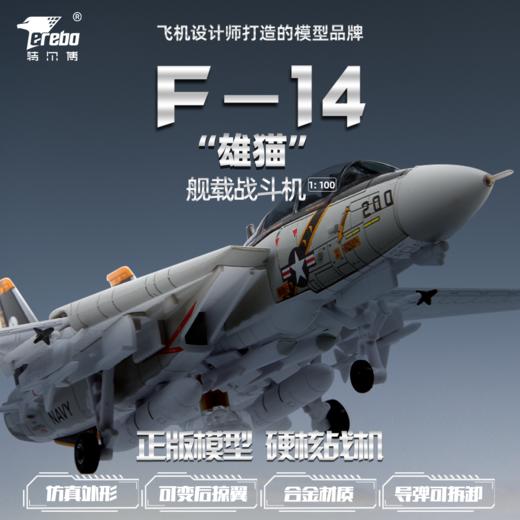 【特尔博-长春航展、九三阅兵纪念品】 1:100F14F15雄猫战斗机飞机模型丨合金仿真模型丨收藏精品丨送礼佳品丨家居摆件 商品图0