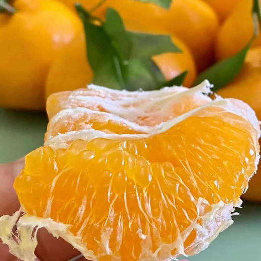 【好吃的品牌耙耙柑来喽】橘子味浓郁，纯甜（甜），水嫩多汁，明星爆款产品 商品图3