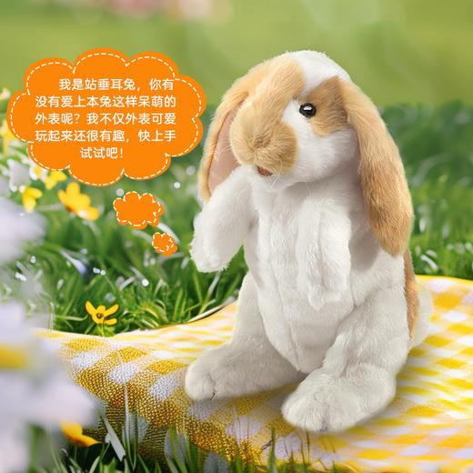KZ1356 FOLKMANIS站垂耳兔2992 商品图1